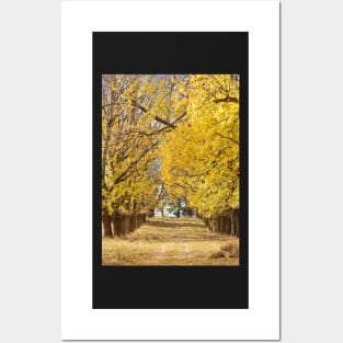 The Long Driveway in Autumn / Fall Posters and Art